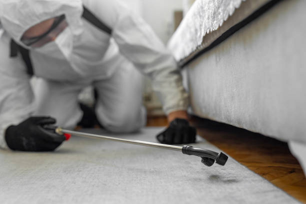 Professional Termite Control technician working in Apple Valley, OH