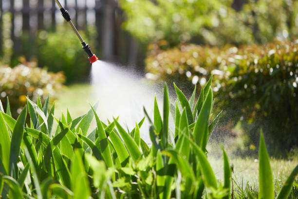 24/7 Emergency Termite Control experts in Apple Valley, OH