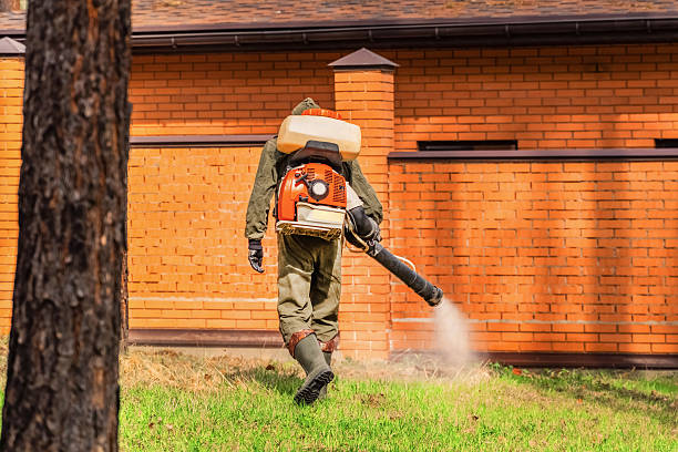 Trusted Termite Control service in Apple Valley, OH - Nex Pest Control